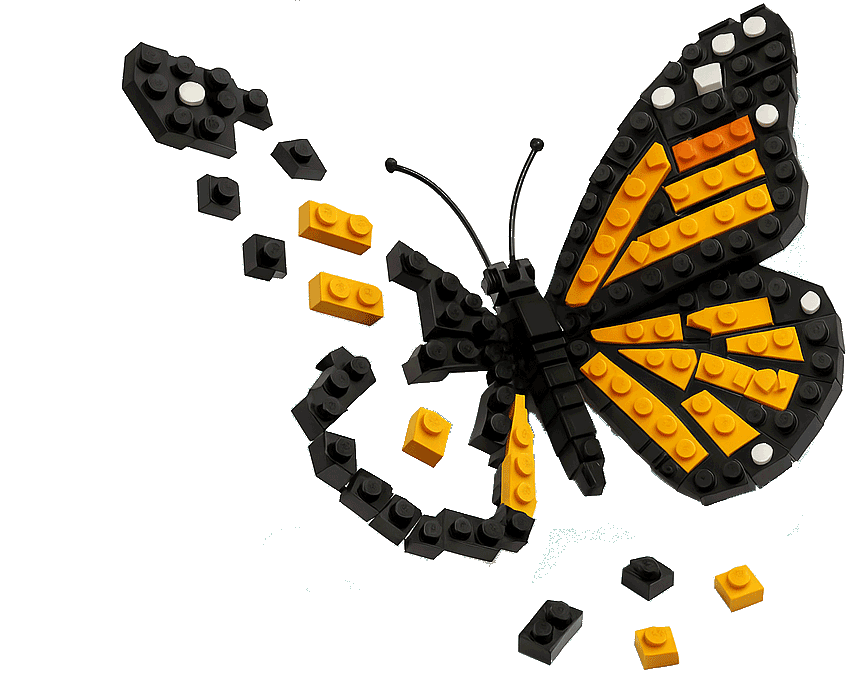 Sor-Literacy-butterfly